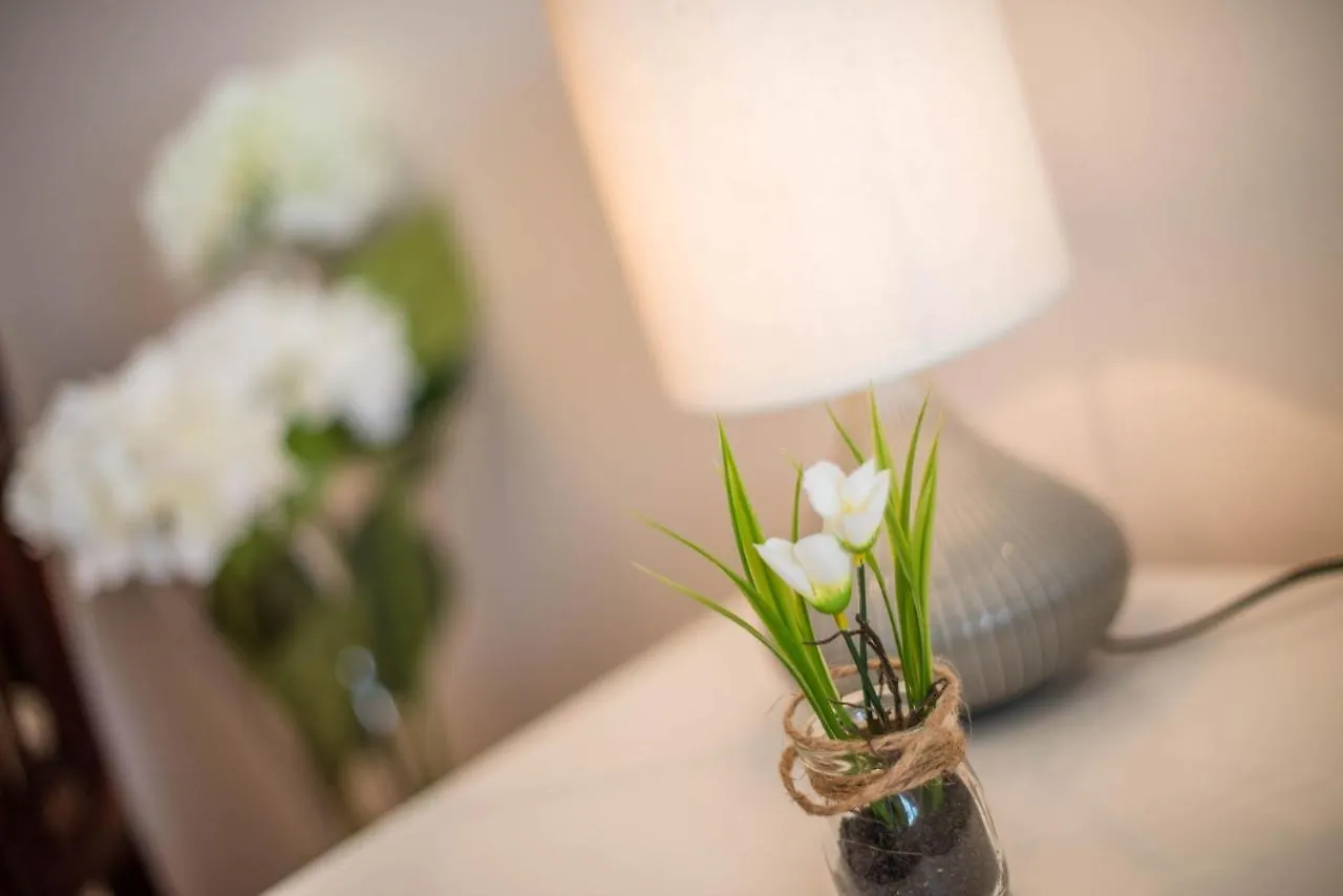 Guest house Apartment Studio Lara Rovinj